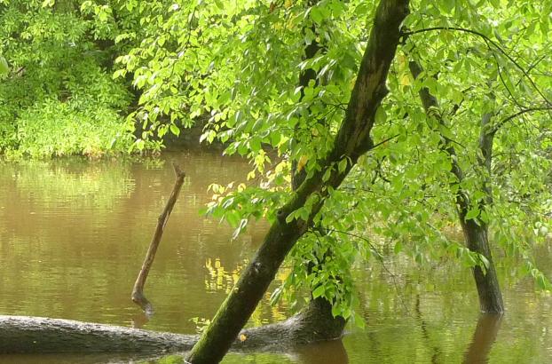 Grundwasser