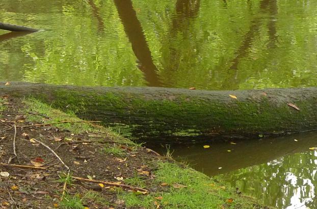 Grundwasser